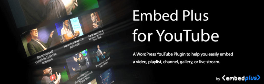 The Embed Plus for YouTube plugin