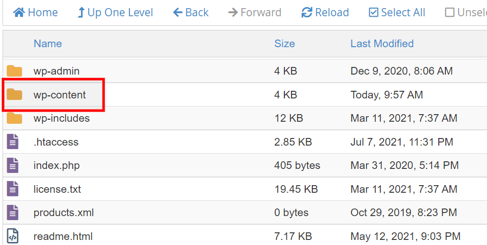 Fixing the Parse Error if You’re Locked Out of WordPress