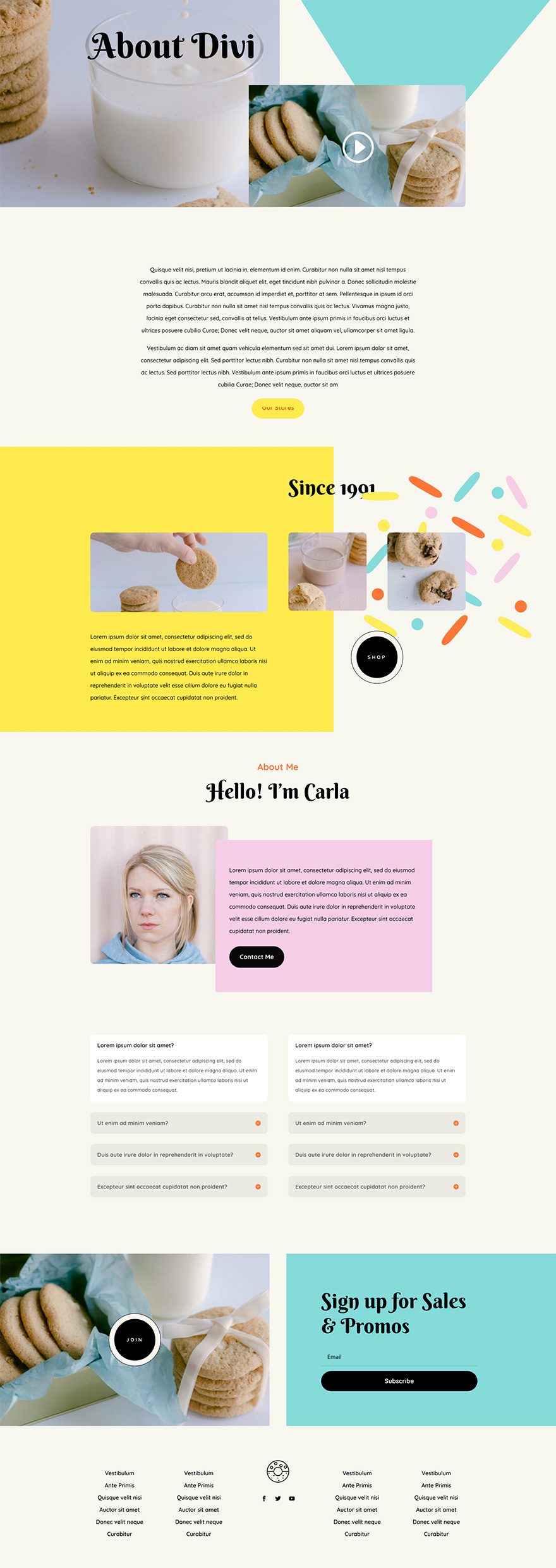 homemade cookies website