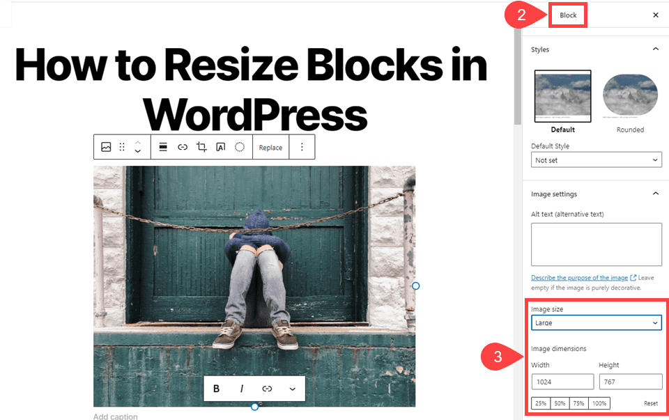image options for how to resize blocks in wordpress