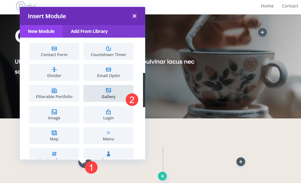 divi column gallery modules