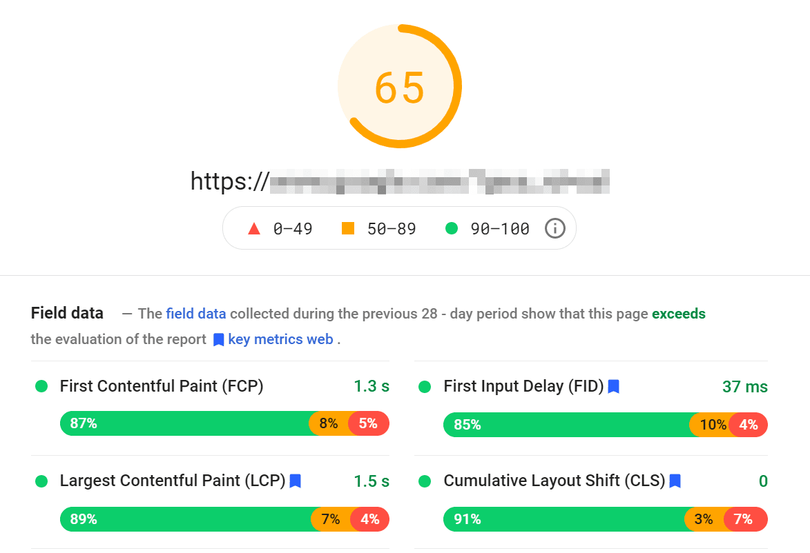 A PageSpeed Insights results screen