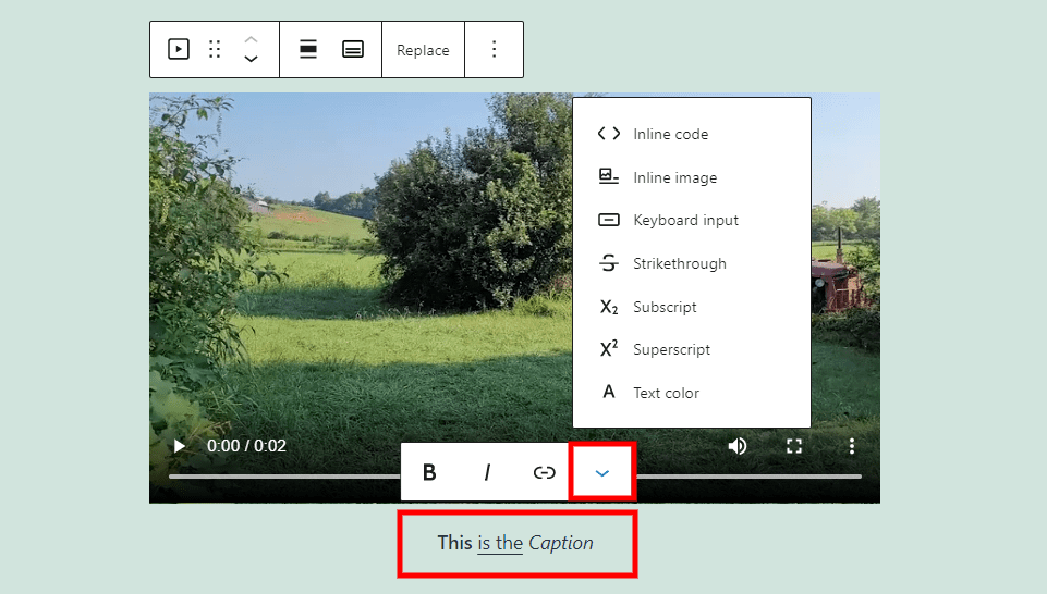 Video Block Caption Options