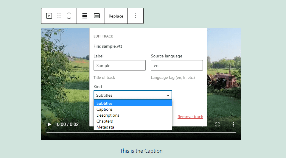 Video Block Text Tracks