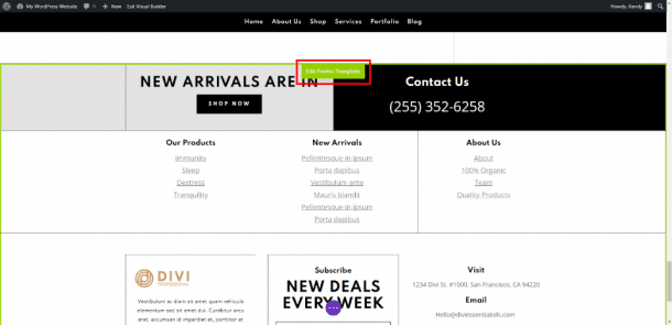 Shortcode Footer How to Add Shortcodes to Your Divi Footer (3 Plugin Examples)