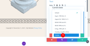 How to Add a Dynamic Copyright Year to Your Divi Footer (Automatically ...