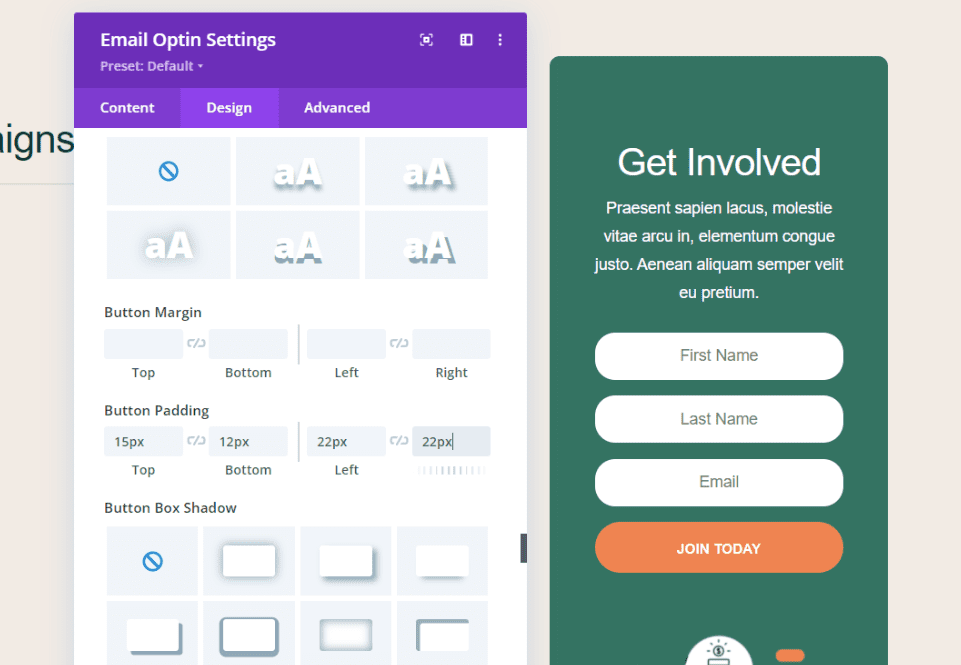 Style the Divi Email Optin