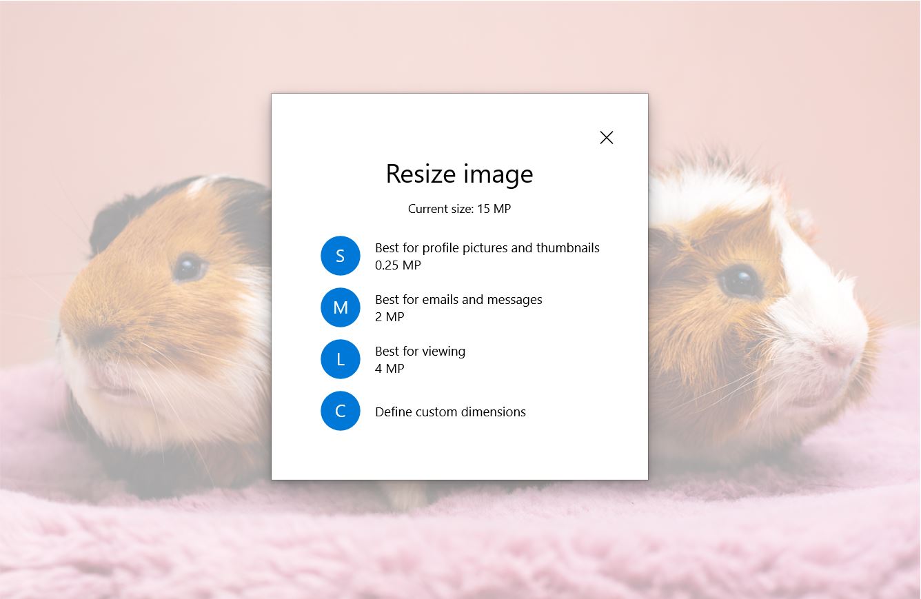 Resizing image options in Windows