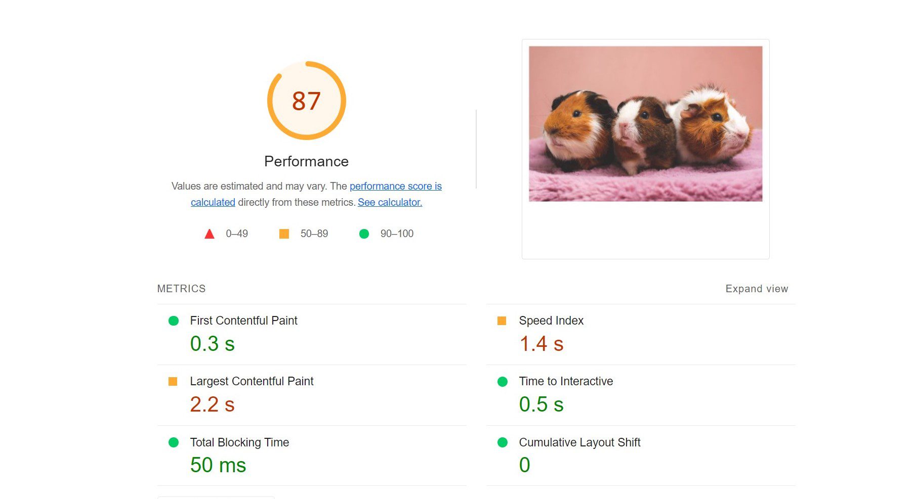 Performance score of a page with original image size
