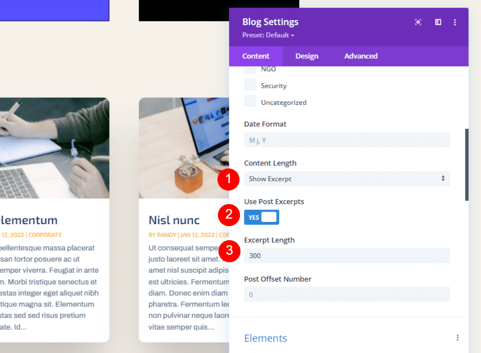 How to Limit the Excerpt Length of Your Divi Blog Module 2
