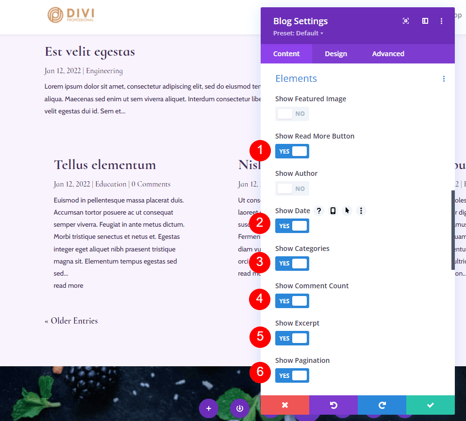 Read More Button, Date, Categories, Comment Count, Excerpt & Pagination Element Combinations