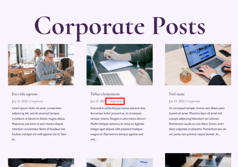 How to Show Blog Posts per Category Using Divi's Blog Module