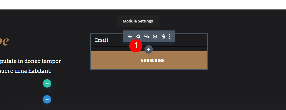 Email Optin Module Settings