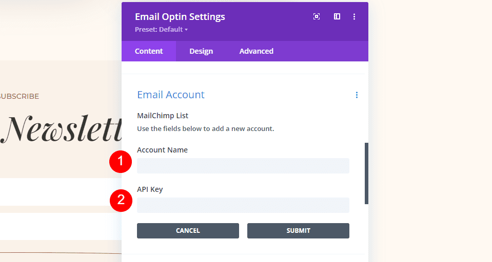 MailChimp Divi Set up Email Account Example