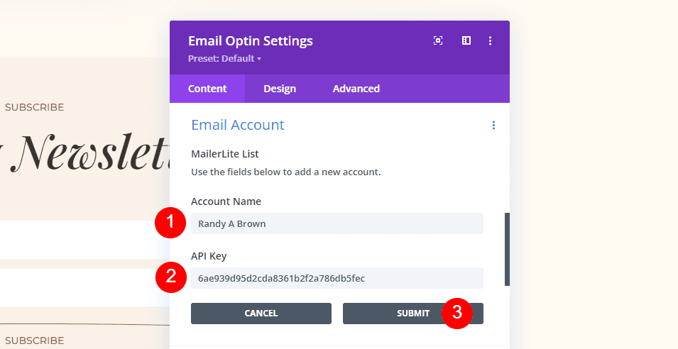 MailerLite Divi Set up Email Account Example