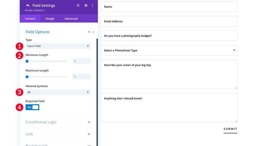 Divi input field options