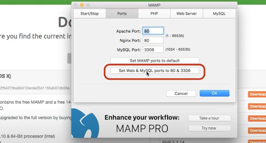 Setting up MAMP for WordPress Staging Site