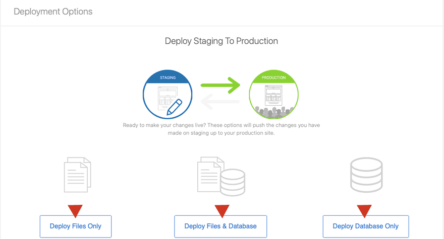 Deploying Your WordPress Staging Site in Bluehost