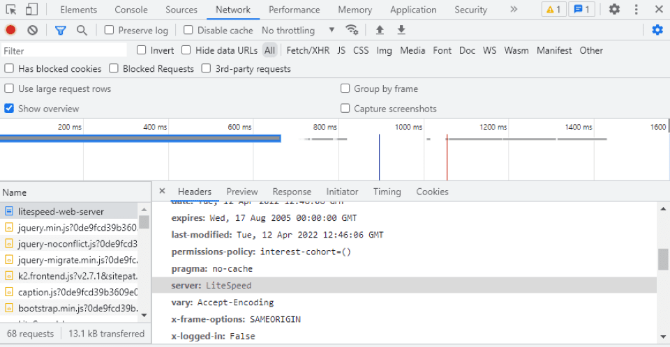 Locating the server type in Developer Tools