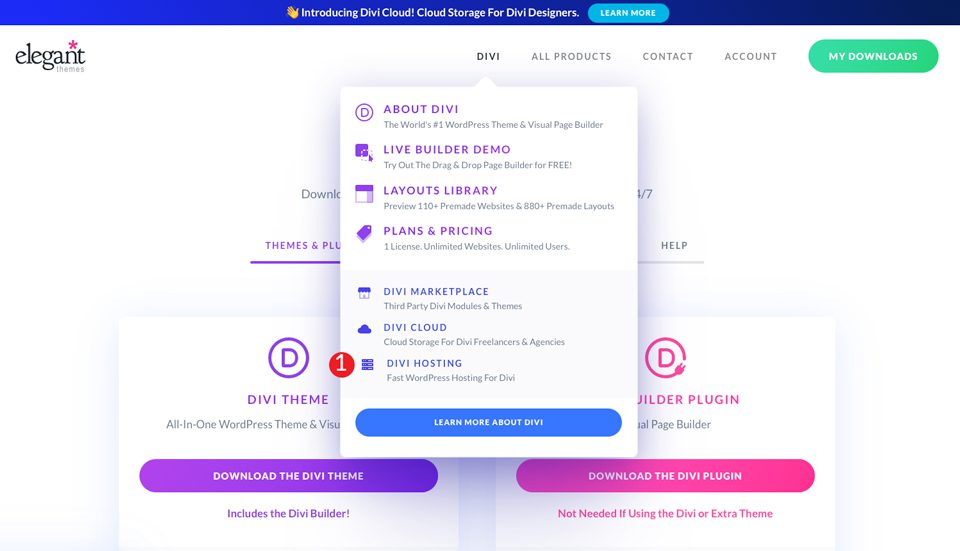 Divi Website on Cloudways