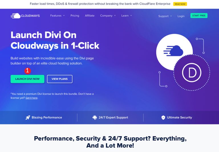 How to Set up a New Divi Website on Cloudways in Minutes