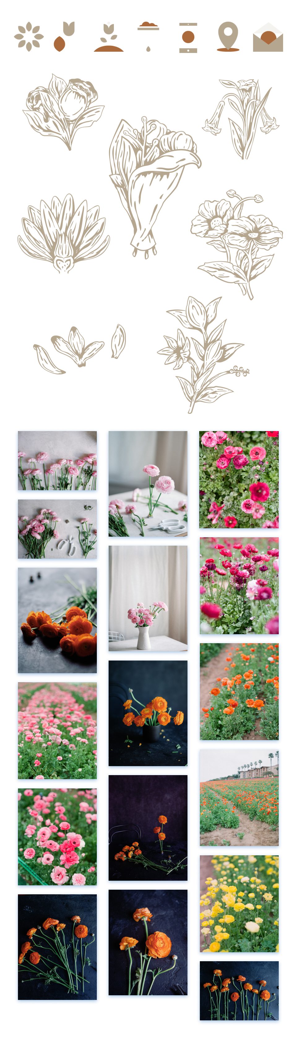 divi flower farm layout pack