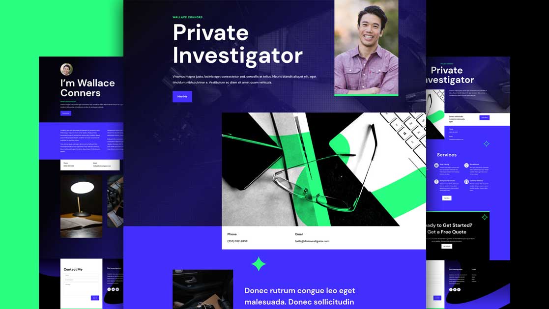 Private Investigator