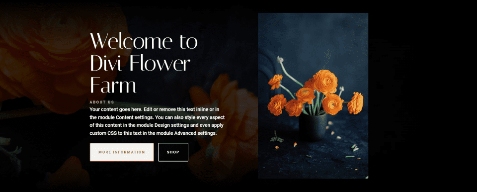 Add an Image to Your Fullwidth Header