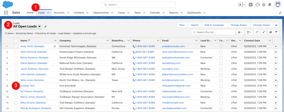 چگونه Salesforce Web-to-Lead را با وردپرس ادغام کنیم