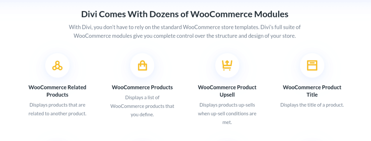 The Divi WooCommerce modules.