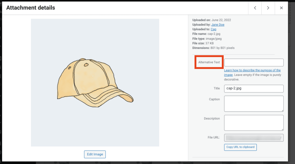 The place to add alternative text to a WordPress image.