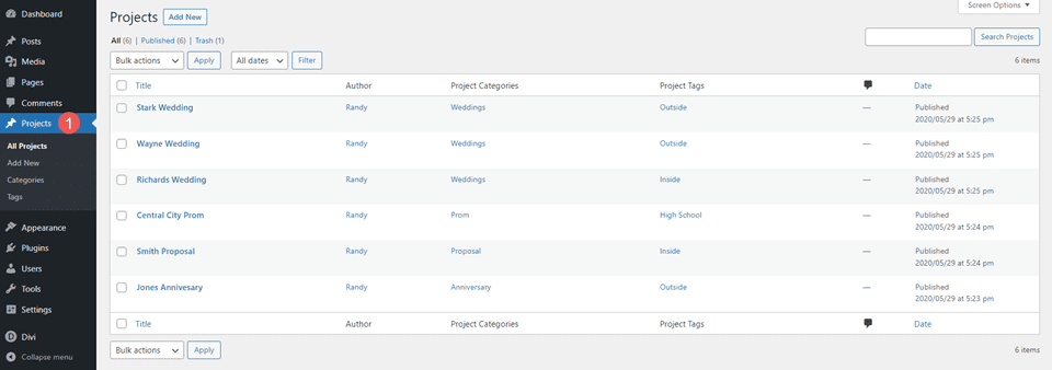 Setting Up WordPress Projects