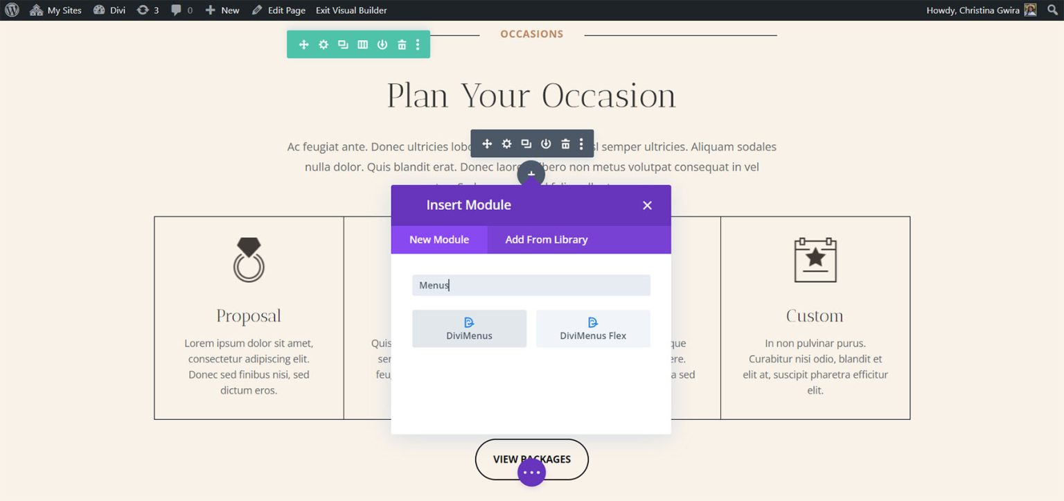 Divi Plugin Highlight DiviMenus