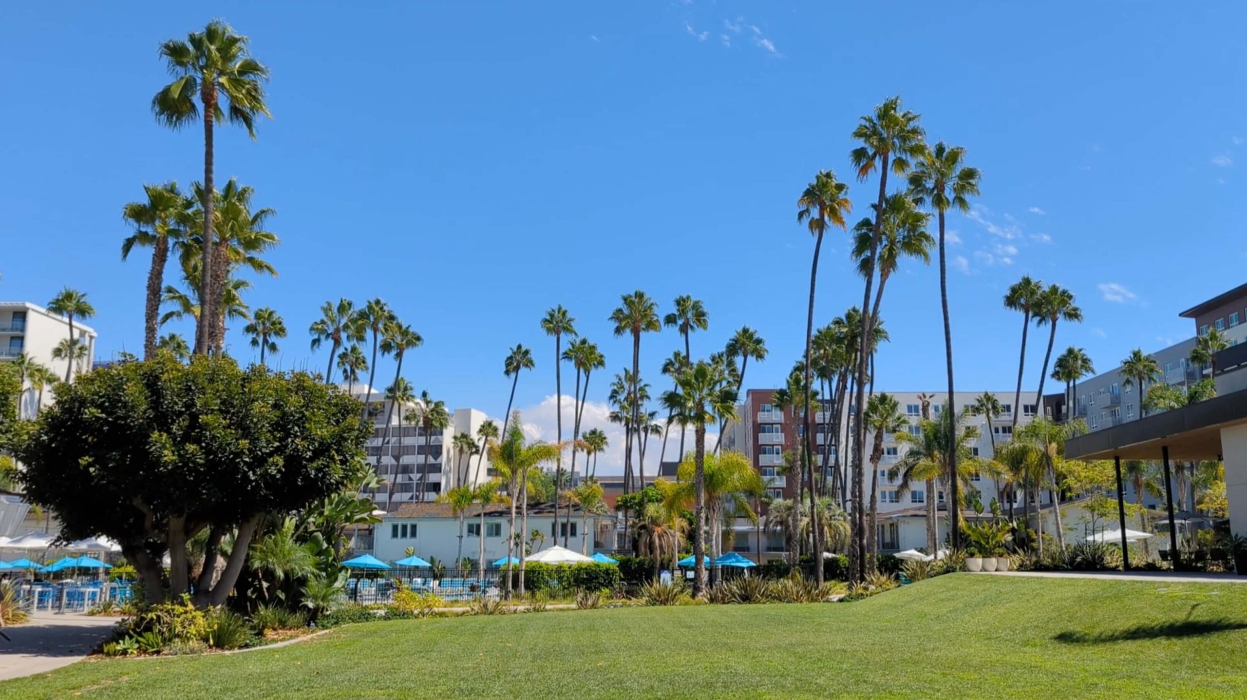 town and country resort with lots of palm trees