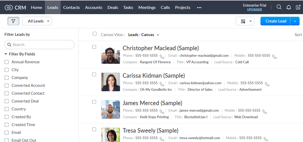 Zoho Leads صفحه