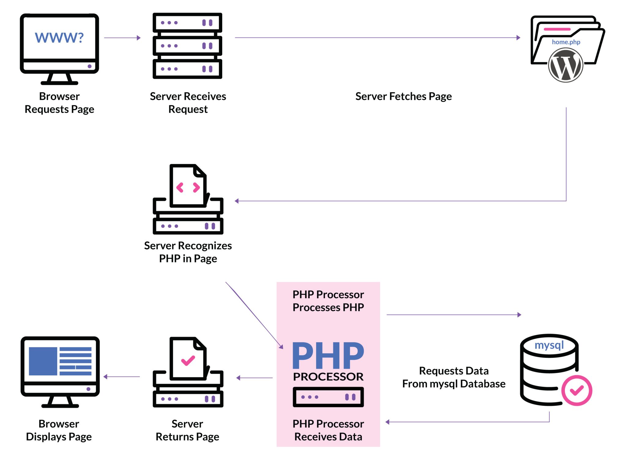 13 Best WordPress Speed Optimization Plugins in 2025 (Ranked)