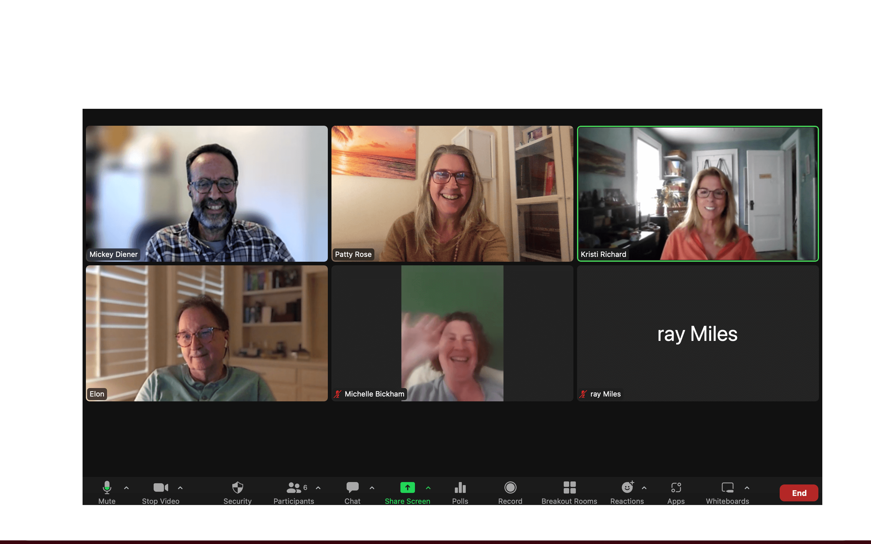 screenshot of Divi NYC virtual attendees