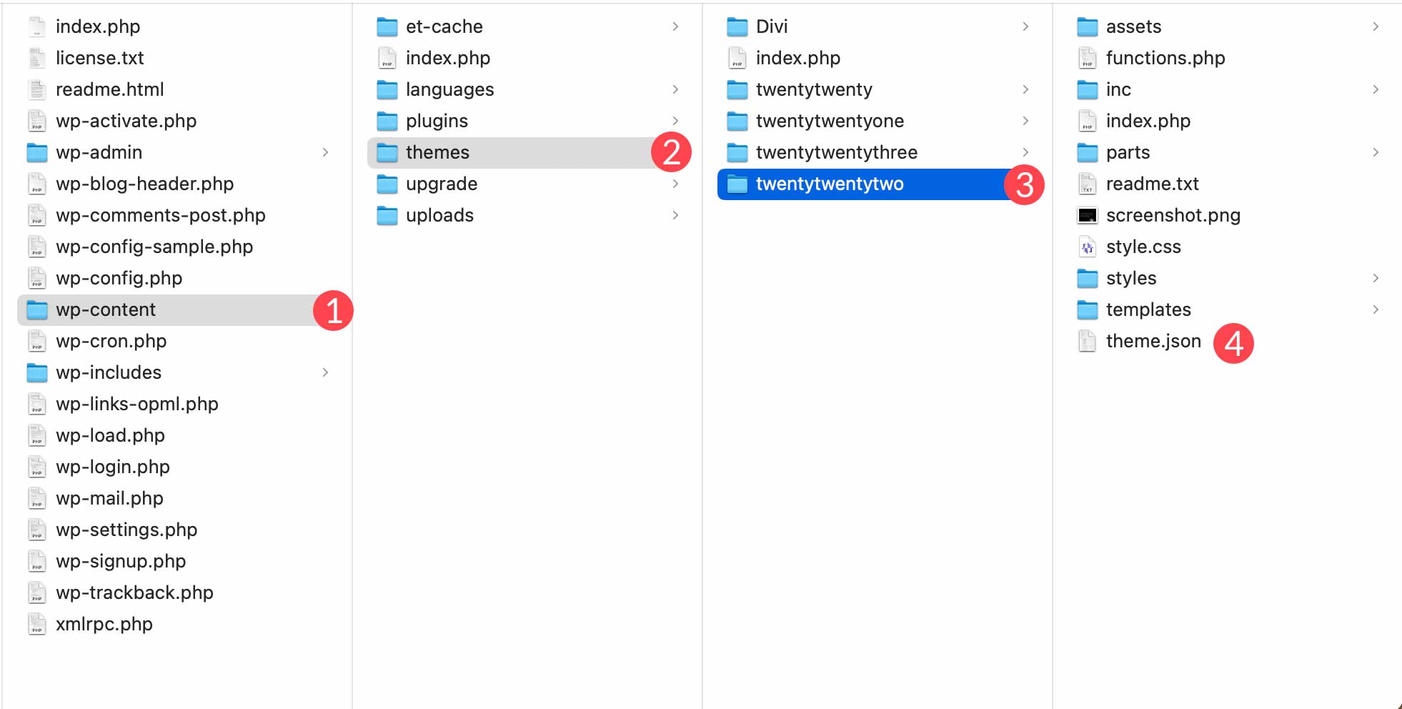 theme json file location