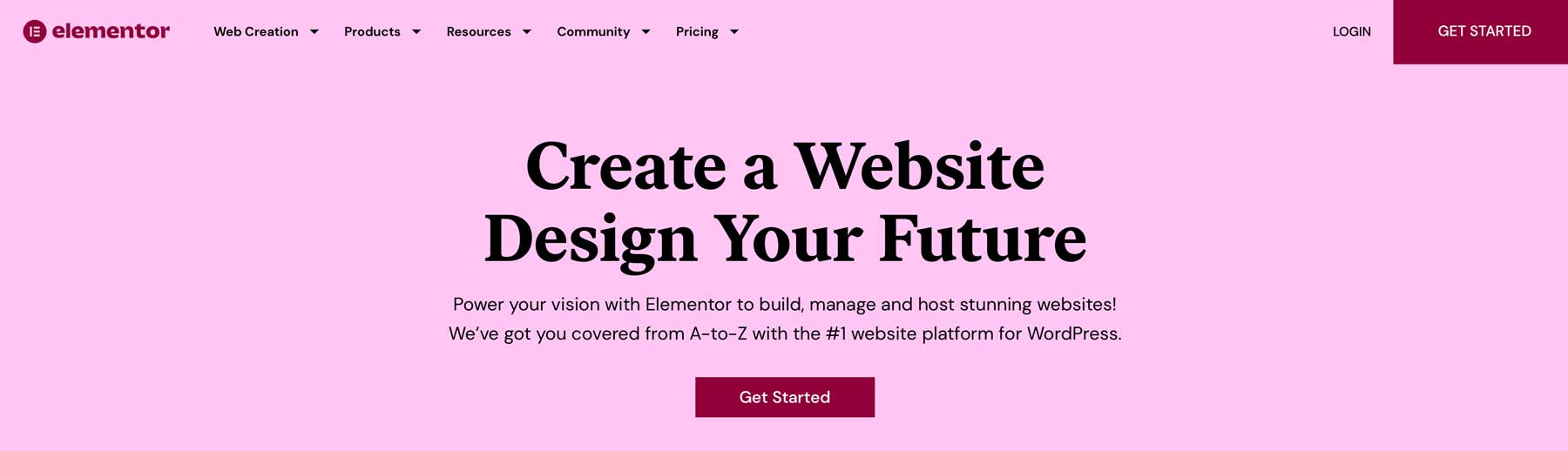 The Elementor page builder plugin