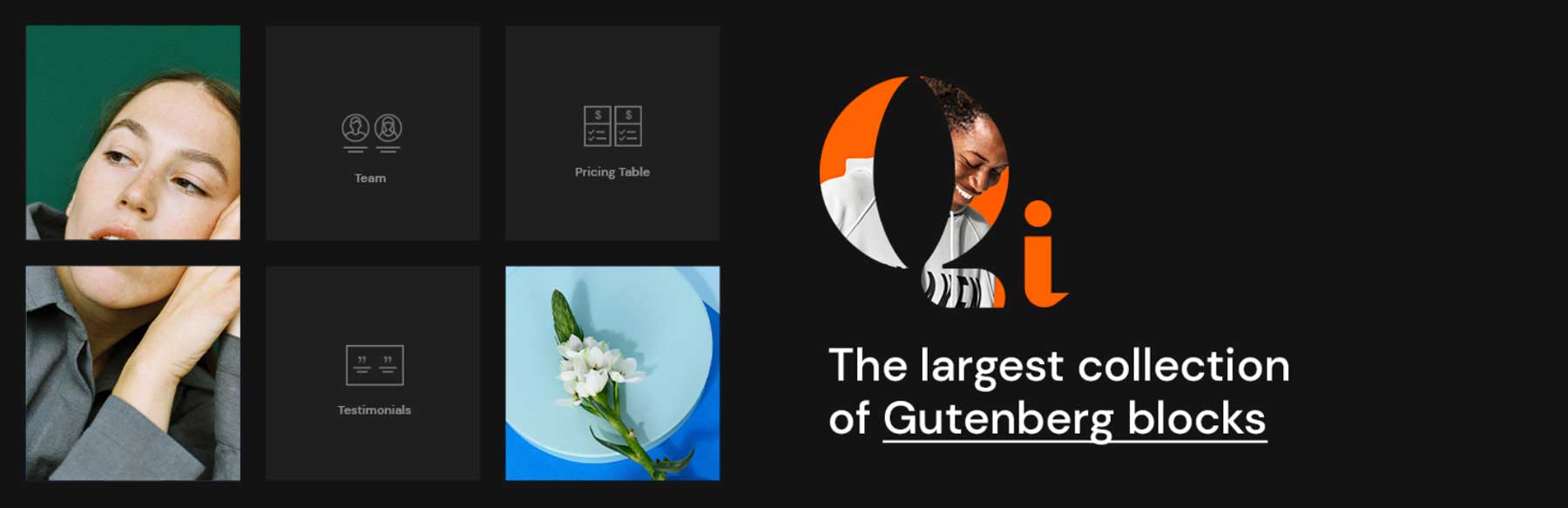 Qi Blocks for Gutenberg homepage