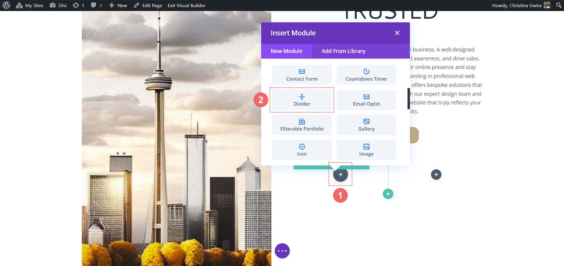 Add divider module to column