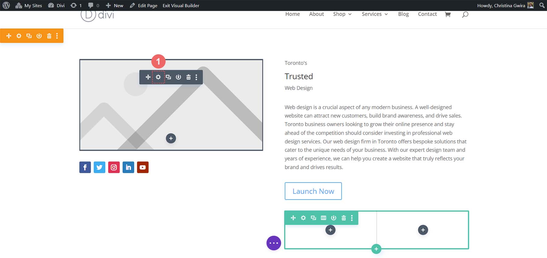 Edit image module