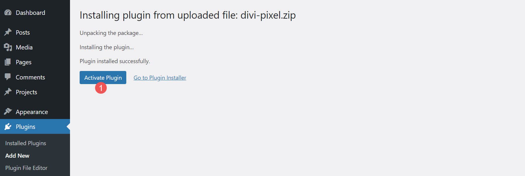 Installing Divi Pixel