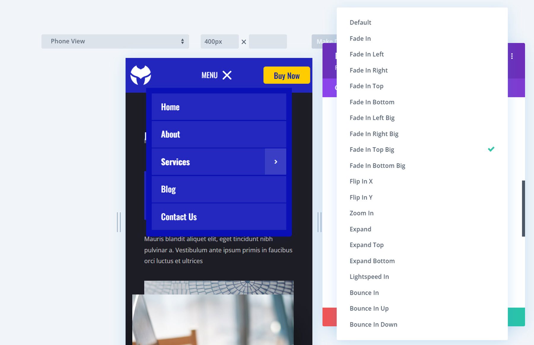 Divi MadMenu Mobile Menu Settings