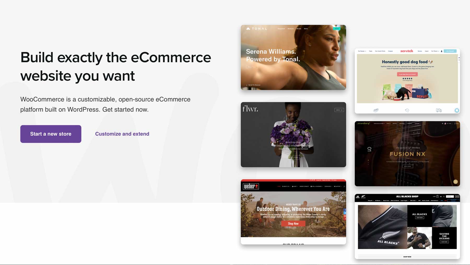 البرنامج المساعد WooCommerce للتجارة الإلكترونية