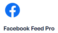 Custom Facebook Feed Logo