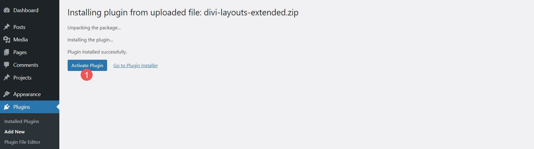 Installing Divi Layouts Extended