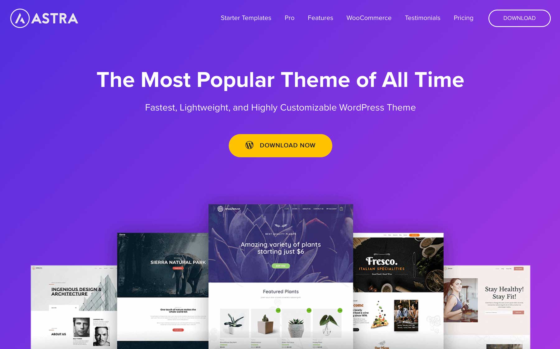 10 Best Manga & Anime WordPress Themes 2023 - Colorlib