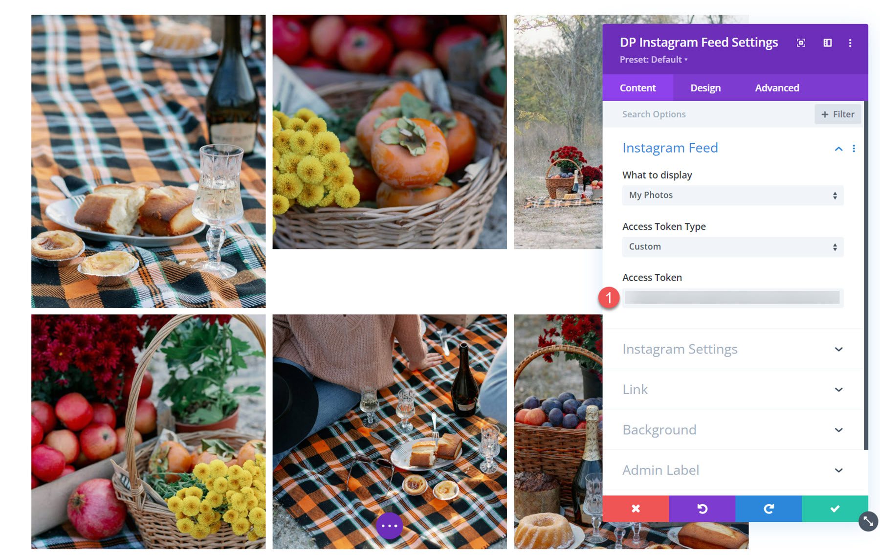 Divi Social Plus Instagram Feed Access Token