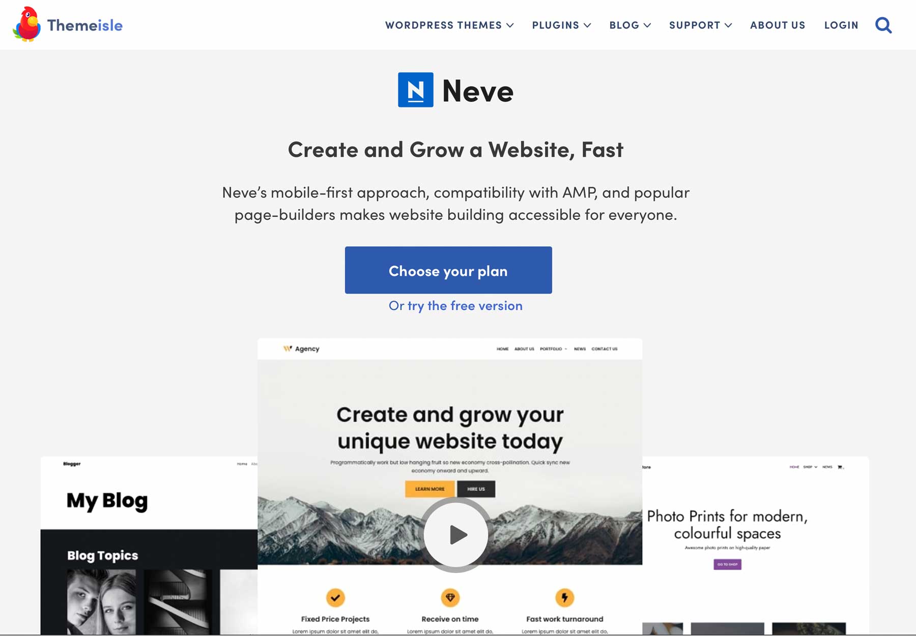 Neve fastest WordPress themes